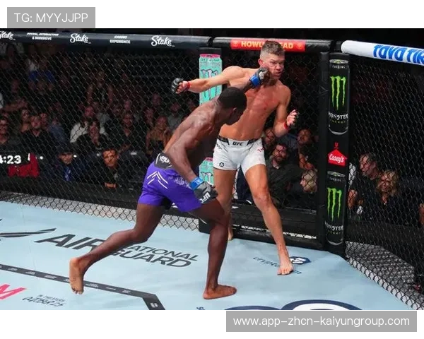 UFC拳手一回合打出百次有效击打，极限挑战与格斗艺术的完美结合